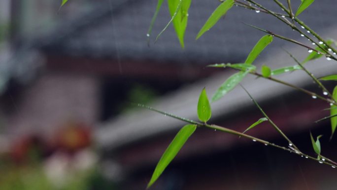 原创4k视频素材瓦房前的绿竹与雨中灯笼