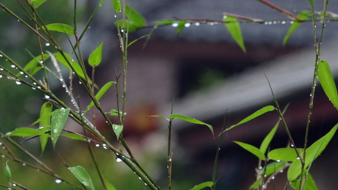 原创4k视频素材瓦房前的绿竹与雨中灯笼