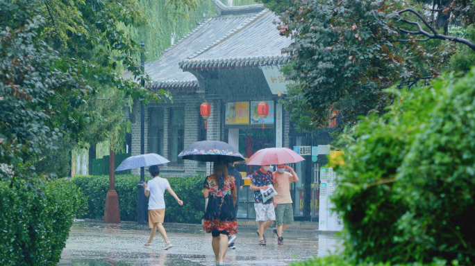 下雨雨水树叶大自然行人4K