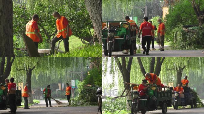 绿色城市城市美容师植绿绿园林工人修剪树木