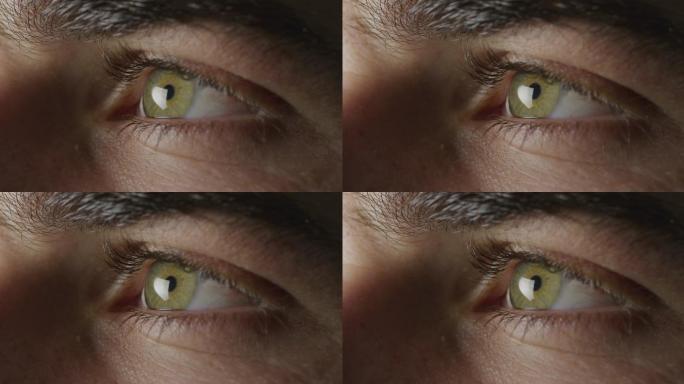 闪烁的绿色的眼睛闪烁的绿色的眼睛