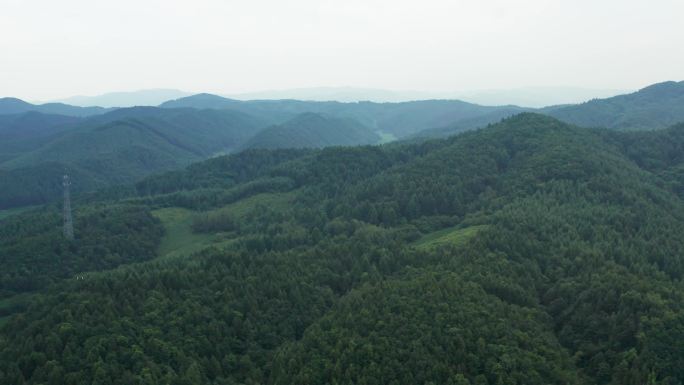 航拍山浑河山林厂房农村农业农林树木树林