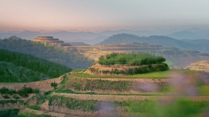 陕北高原梯田延安日出麦田高原高坡日落榆林