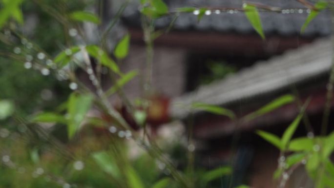 原创4k视频素材瓦房前的绿竹与雨中灯笼