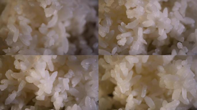 米饭水稻主食大米