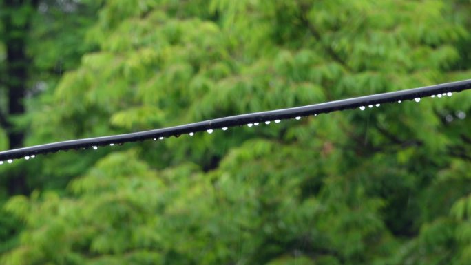 原创4k视频素材电线上的水珠和风雨中绿叶