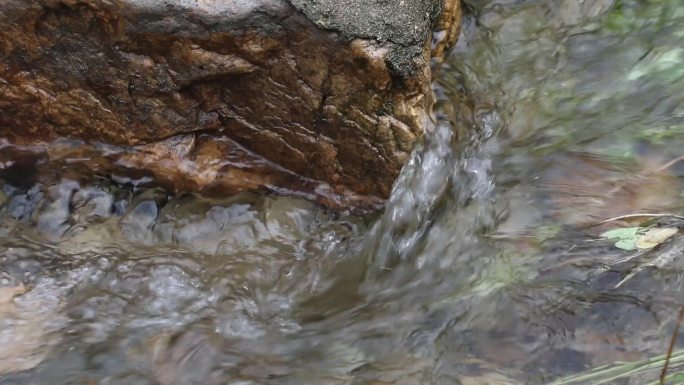 河流 自然 绿色 户外 流水 溪流