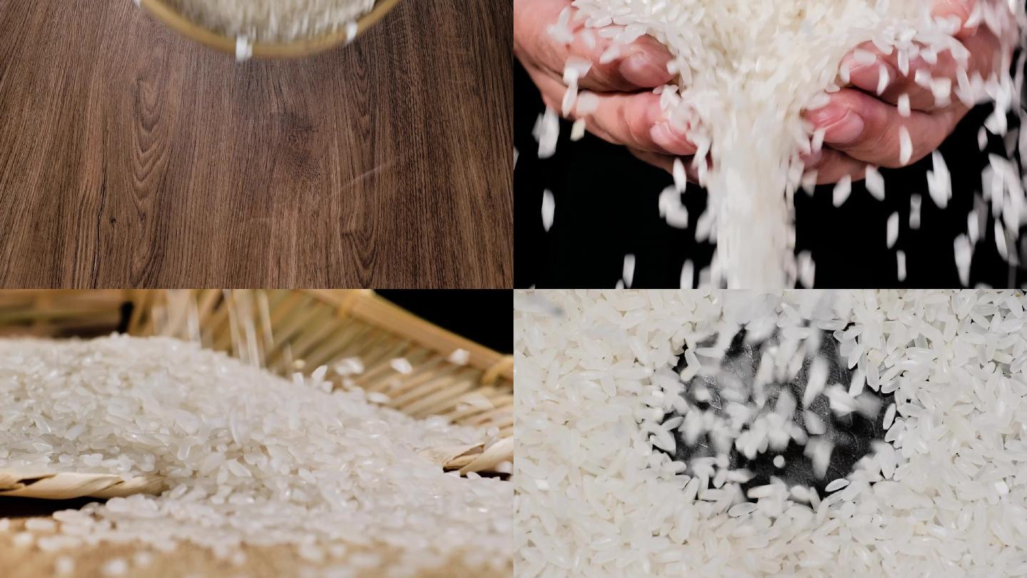 大米水稻粮食大米饭稻谷