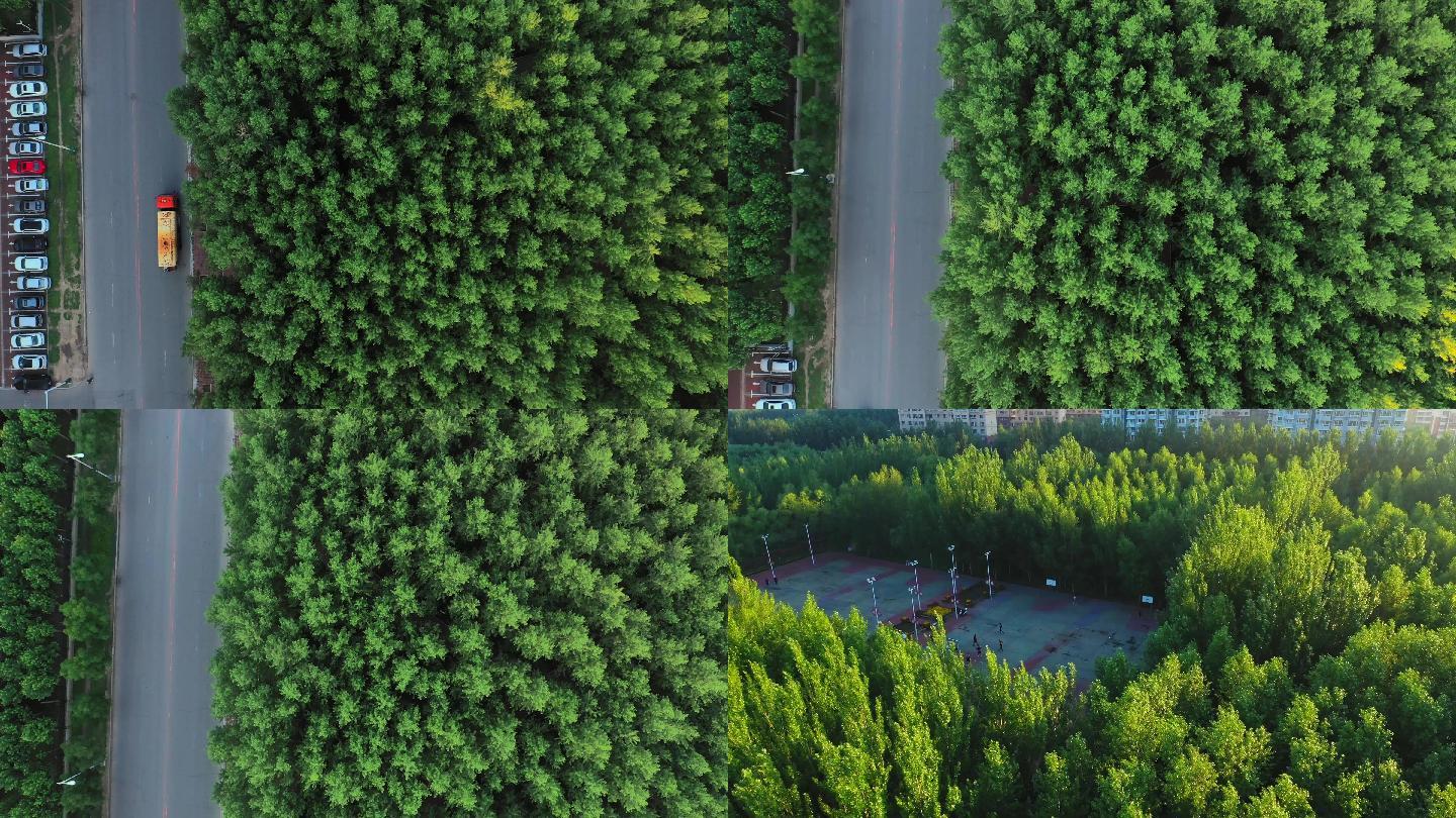 清晨早晨锻炼公园园林车