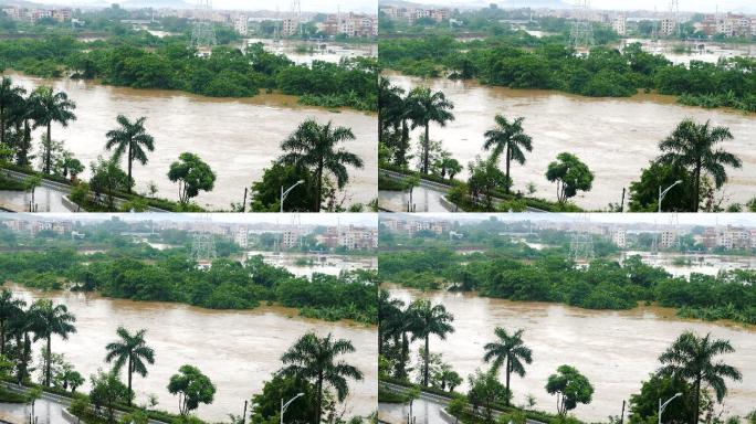 湍急的河流洪水素材