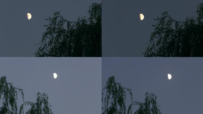 月亮月夜 月儿弯弯 夜空