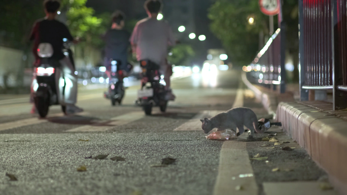 城市街道夜景人生百态夜生活