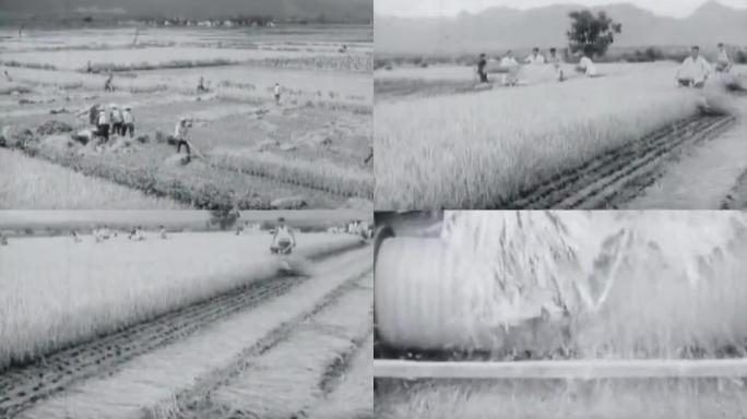 70年代浙江农业机械化生产影像10