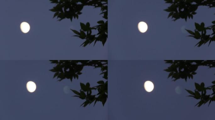 月夜月月亮夜空月亮素材浪漫古典月亮升起