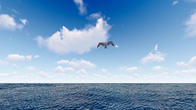 一只海鸥迎面飞来升格慢动作