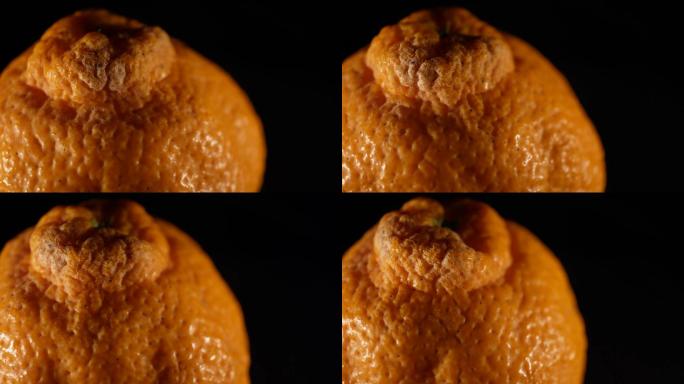 橘子皮丑橘水果