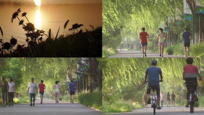 河边日出早晨公园锻炼晨练运动体育骑行跑步