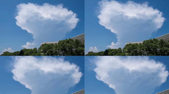 4K蘑菇云蓝天白云延时摄影视频素材