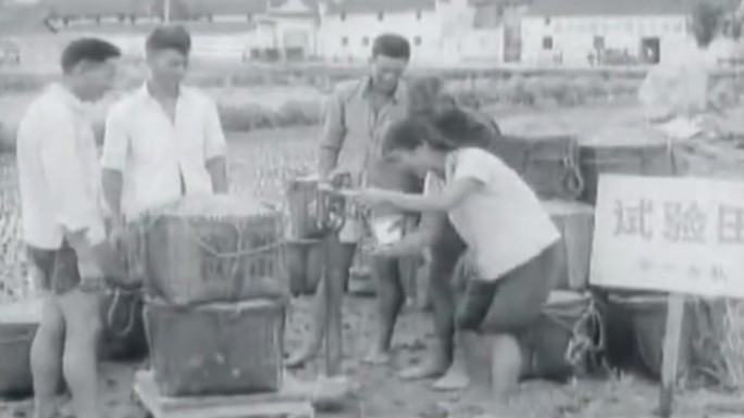 70年代浙江农业机械化生产影像11