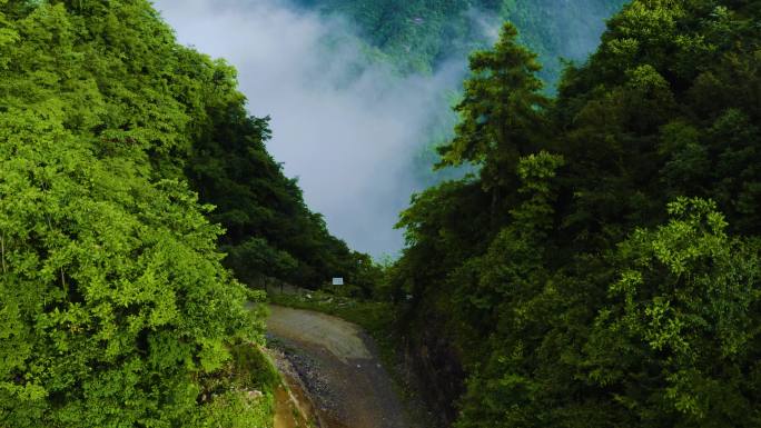 鹤峰刀枪坡山路