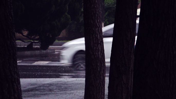 原创4k视频素材风雨中的街景银杏叶银杏果
