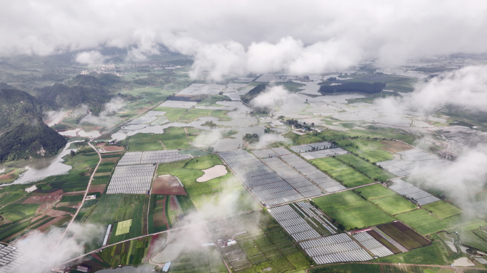 5K-丘北农田，高原稻田航拍，荷田航拍