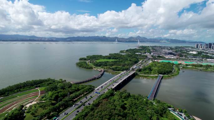 最新原创深圳湾绿色环保大景航拍直推空镜