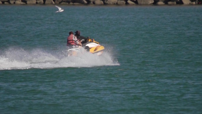 海上摩托艇 海鸥与水上摩托
