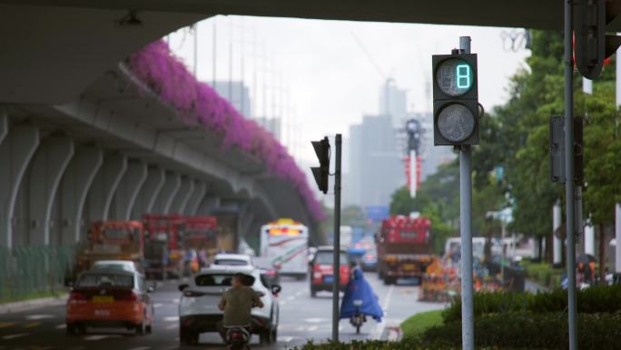 道路安全交通灯