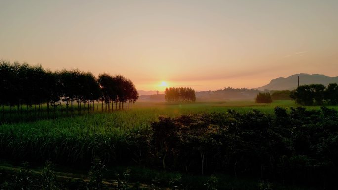 航拍乡村清晨阳光绿色自然生机勃勃宣传片头