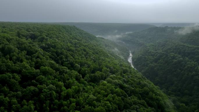 多组镜头大森林中的溪流矿泉水
