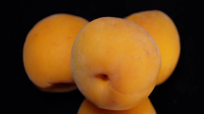 黄杏野果水果夏季