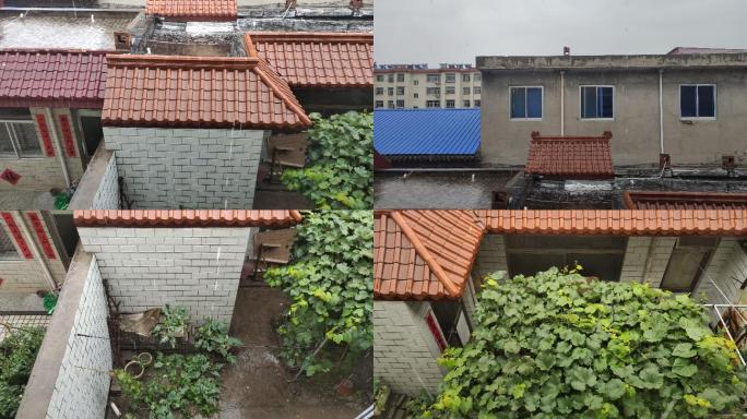 下雨 小院子 葡萄架 雨滴 房屋顶