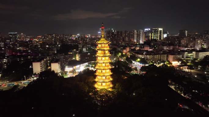 龙华区地标龙华公园龙峰夜景航拍