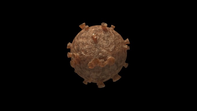 超写实三维病毒细菌模型