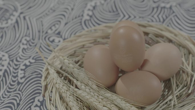日本蛋 温泉蛋 生食蛋 高级蛋 鸡蛋鸡窝
