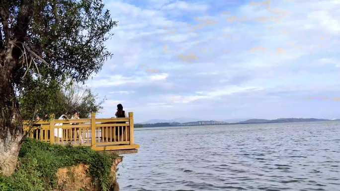 云南滇池 风景 公园 散步 花 春城