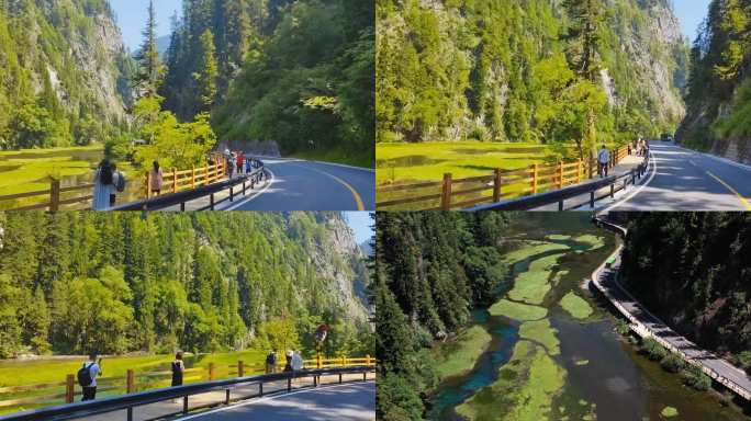 九寨沟景观步道沿途风景航拍