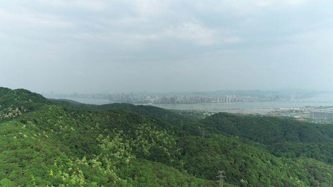 杭州春季 茶山 绿水青山 梅岭路