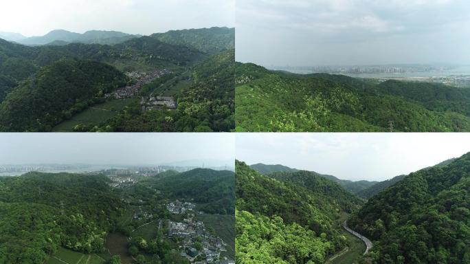 杭州春季 茶山 绿水青山 梅岭路