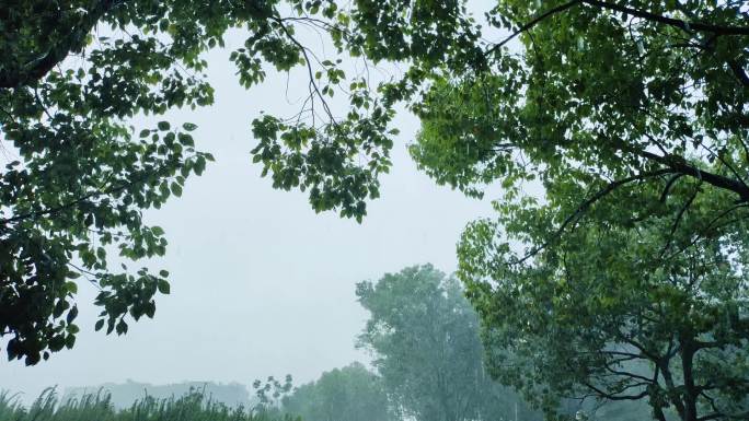 狂风暴雨