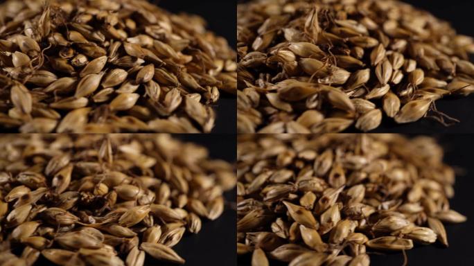 炒麦芽大麦茶中药中草药中医药材