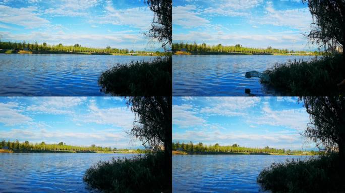 4K高清实拍西安雁鸣湖湿地公园水天一色