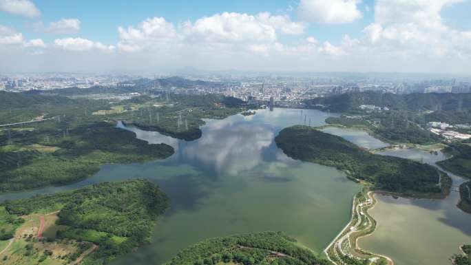 【正版素材】深圳宝安石岩湖，石岩水库