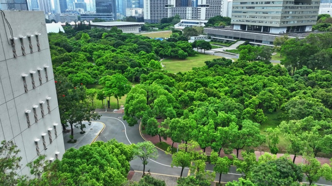 【正版素材】深圳大学粤海校区0167