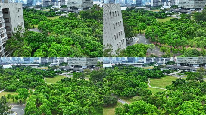 【正版素材】深圳大学粤海校区0167