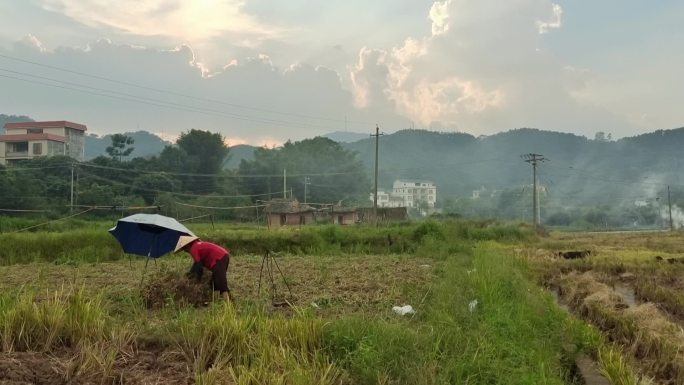 乡村风情落日晚霞夕阳西下炊烟袅袅傍晚田间