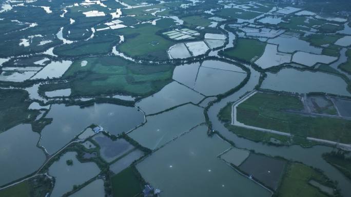 航拍江南浙江绍兴诸暨白塔湖湿地早晨农田