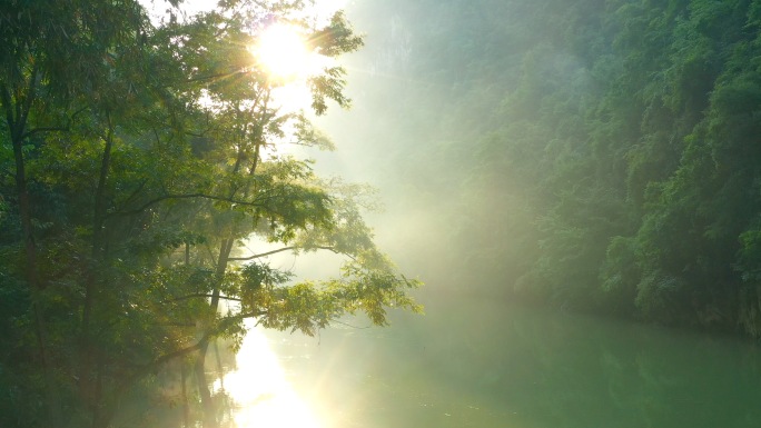 森林 航拍 云海 原始森林 绿水青山