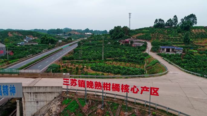 眉山 三苏 柑橘产业 柑橘航拍 绿水青山